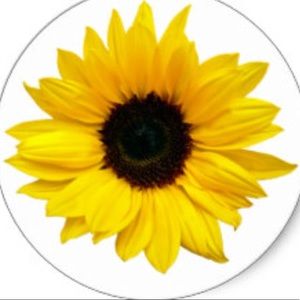 Meet your Posher, Shaleigh